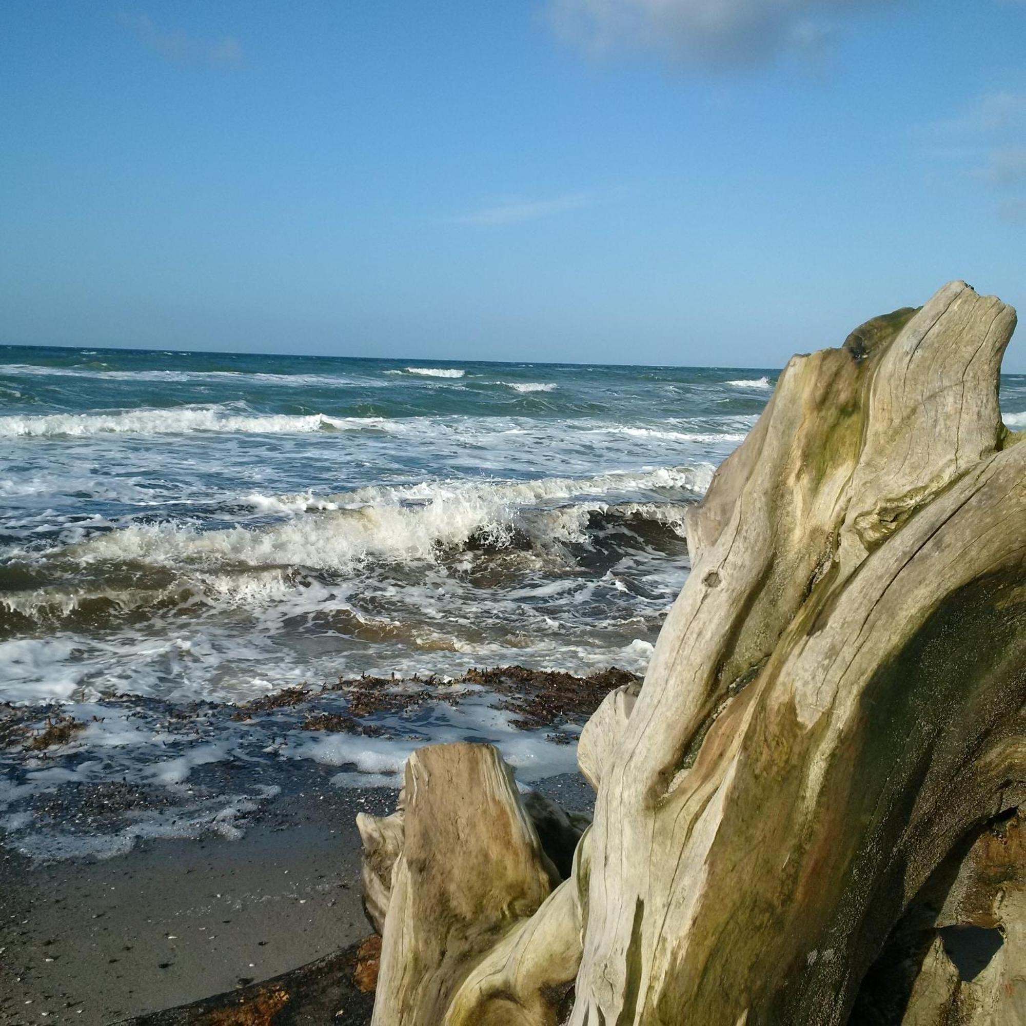 Duene-9 In Dierhagen-Strand Pokoj fotografie